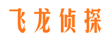 岳麓市侦探公司